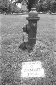 Picture of Dammit the dog's grave
