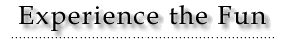 Experience the Fun