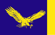 Final Flag icon