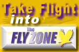 Enter the Flyzone