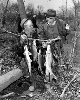 Cook and Marbury with Four Fish