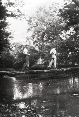 People Crossing Duck River on Footlog