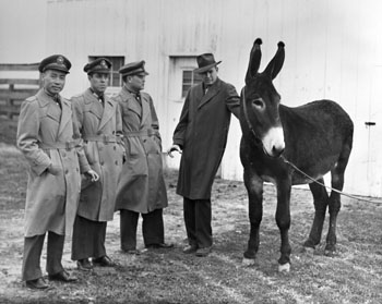 Nationalist Chinese Men Visiting Columbia on Mule Day