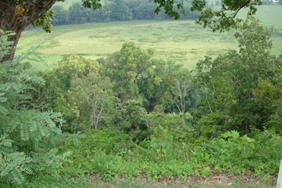 Baker's Bluff on the Natchez Trace
