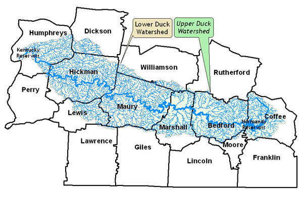 Endangered Species by County