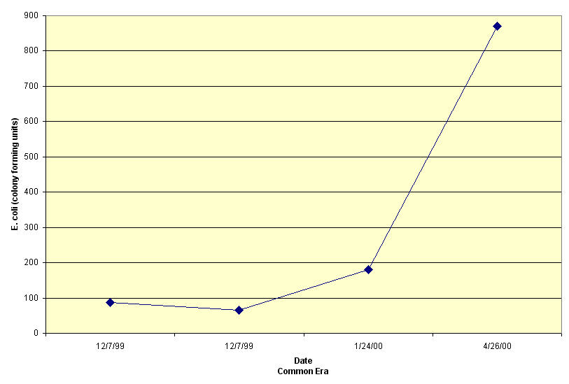Duck 216.2 E coli
