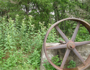 Remnants of Wilhoite Mill