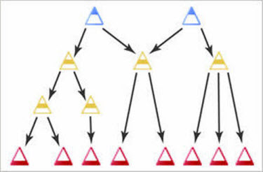 An example of overlapping competency structures