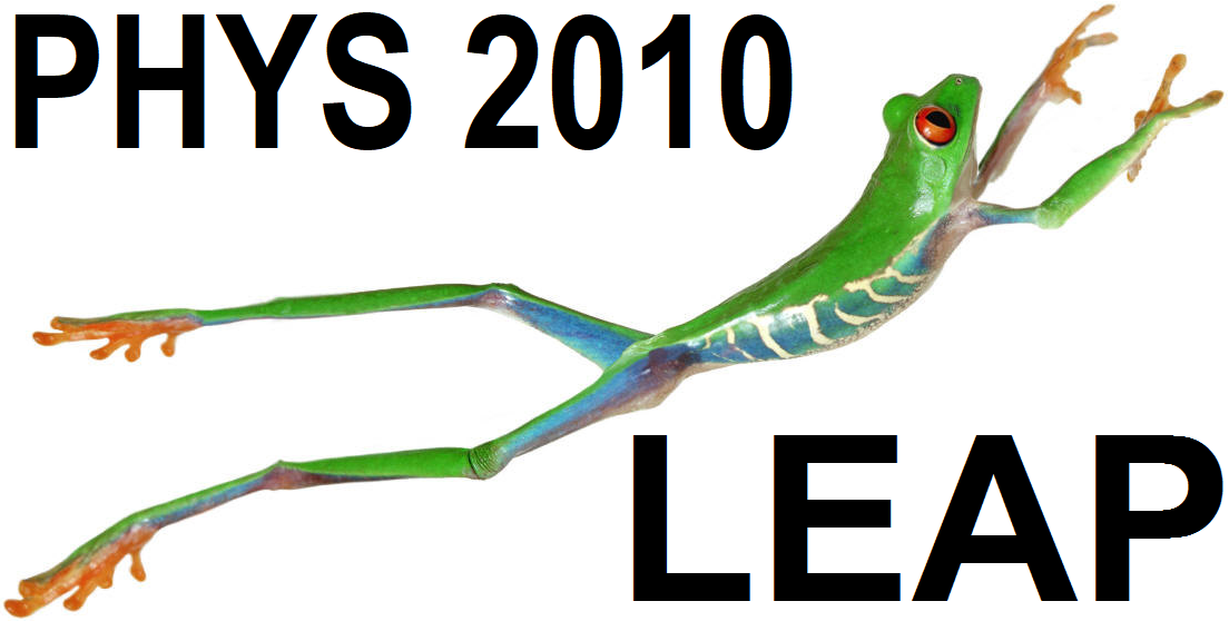 2010 LEAP icon