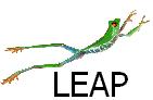 LEAP