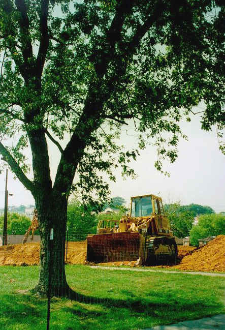 Used with permission of Tennessee Tech University, (Photo courtesy of D. Airhart, 2000).