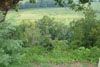 Baker's Bluff on the Natchez Trace