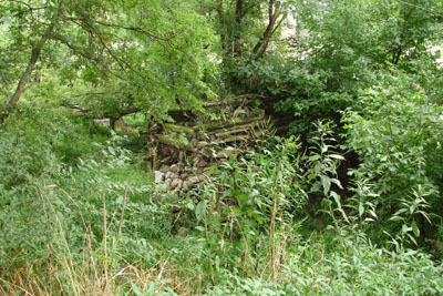 Old Earthen Dam Across Duck River