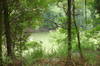 Duck River View from Henry Horton State Park