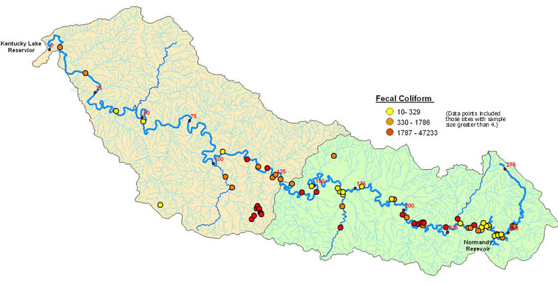 Fecal Coliform