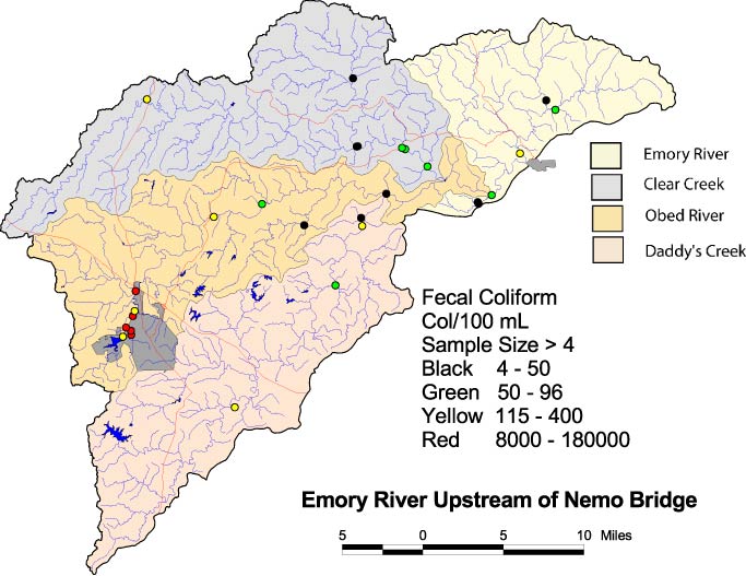 Fecal coliform